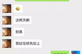 郯城企业清欠服务